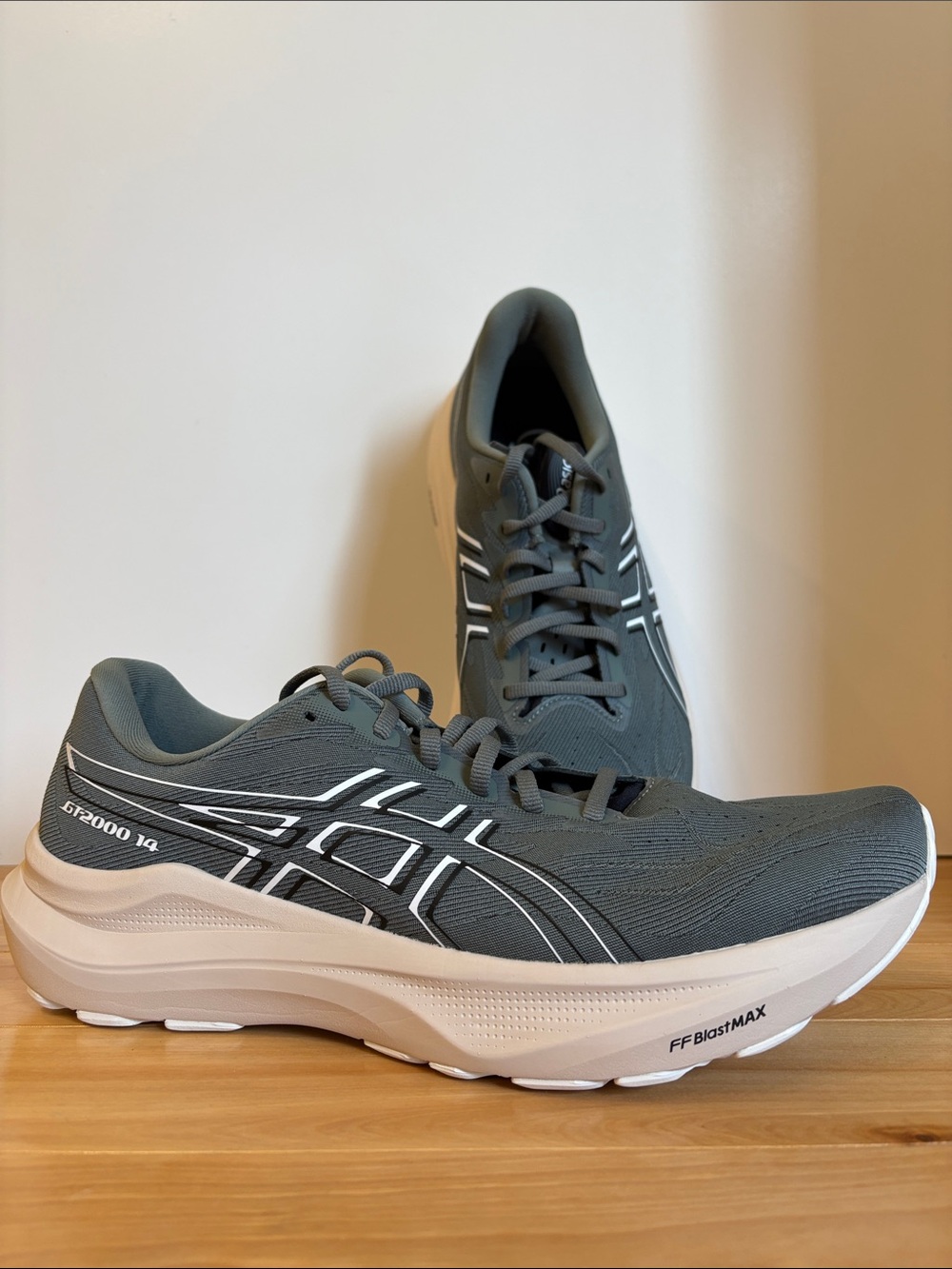 Asics Men’s GT 2000 14